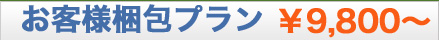 qlv9800`